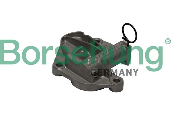 BORSEHUNG Spanner, Steuerkette b1t003 für VAG