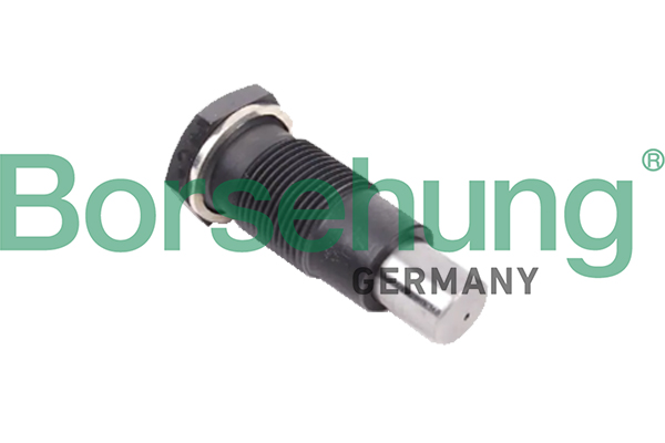BORSEHUNG Spanner, Steuerkette b1t005 für VAG