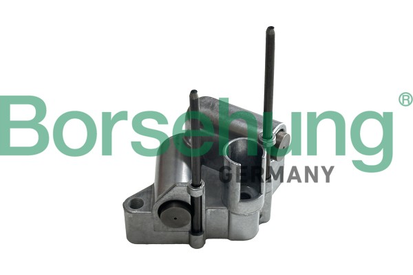 BORSEHUNG Spanner, Steuerkette b13313 für BMW