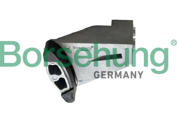 BORSEHUNG Gleitschiene, Steuerkette b13320 für BMW