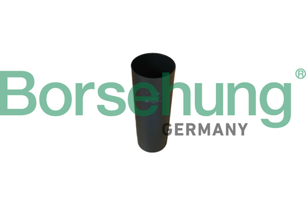 BORSEHUNG Schutzkappe/Faltenbalg, Stoßdämpfer b10151 Hinterachse beidseitig für VAG