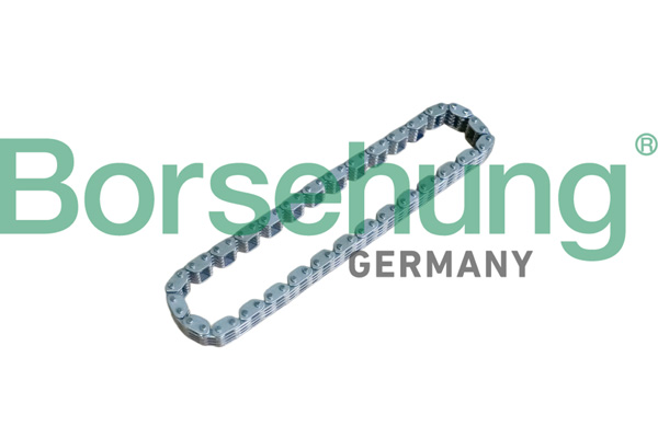 BORSEHUNG Steuerkette b17905 für VW