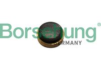 Borsehung Sieb, Ölpumpensaugrohr, Art.-Nr. B11897