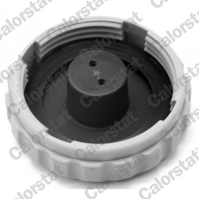 CALORSTAT BY VERNET Ausgleichsbehälter, Kühlmittel et0035c1 für Opel