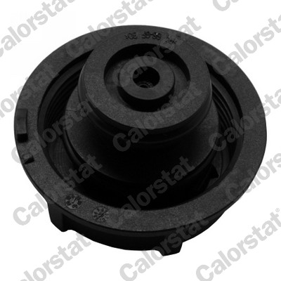 CALORSTAT BY VERNET Ausgleichsbehälter, Kühlmittel et0129c1 für Ford MAZDA