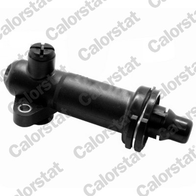 CALORSTAT BY VERNET Thermostat, Kühlung-Abgasrückführung th716770 für BMW