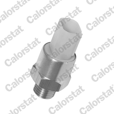 CALORSTAT BY VERNET Temperaturschalter, Kühlerlüfter ts2704 für BMW