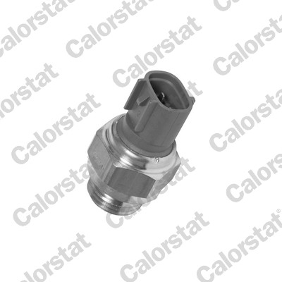 CALORSTAT BY VERNET Temperaturschalter, Kühlerlüfter ts2870 für Suzuki