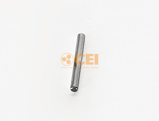C.E.I. Nadelrolle 171067 für RENAULT TRUCKS