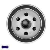 CHAMPION �lfilter, Art.-Nr. COF100165S