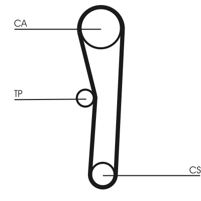 CONTINENTAL CTAM Zahnriemen ct536 für TOYOTA HONDA