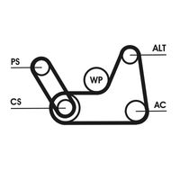 Continental - ContiT Keilrippenriemensatz, Art.-Nr. 6PK1019 ELAST T1