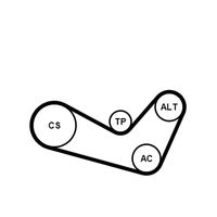Continental - ContiT Keilrippenriemensatz, Art.-Nr. 6PK1080K1