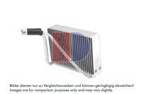 AKS DASIS Verdampfer, Klimaanlage, Art.-Nr. 820000N