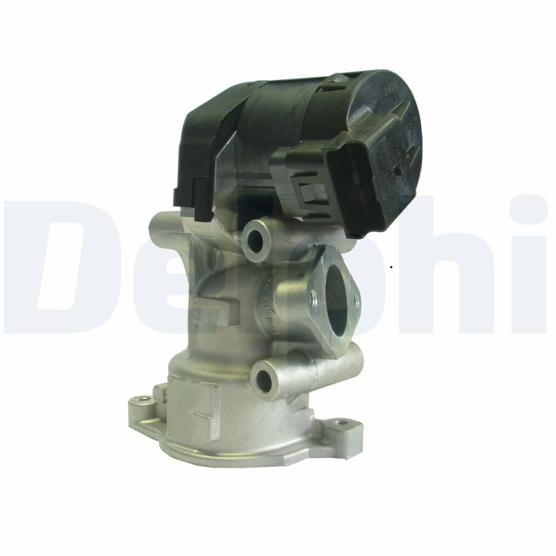 DELPHI AGR-Ventil eg1039612b1 für Peugeot Ford Volvo Fiat