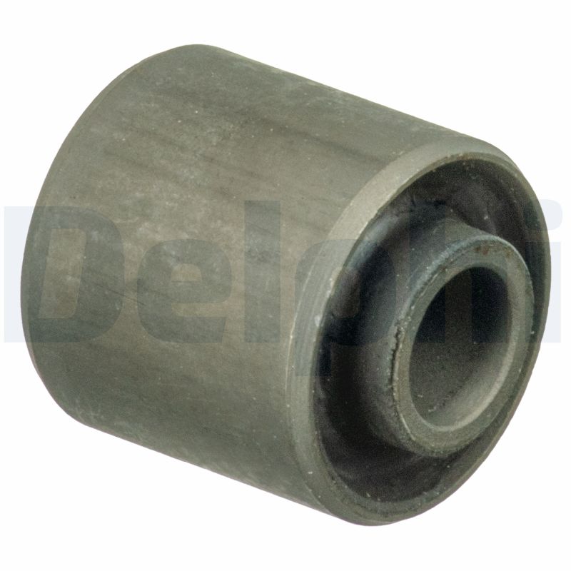 DELPHI Lagerung, Motor tem071 hinten für Citroën