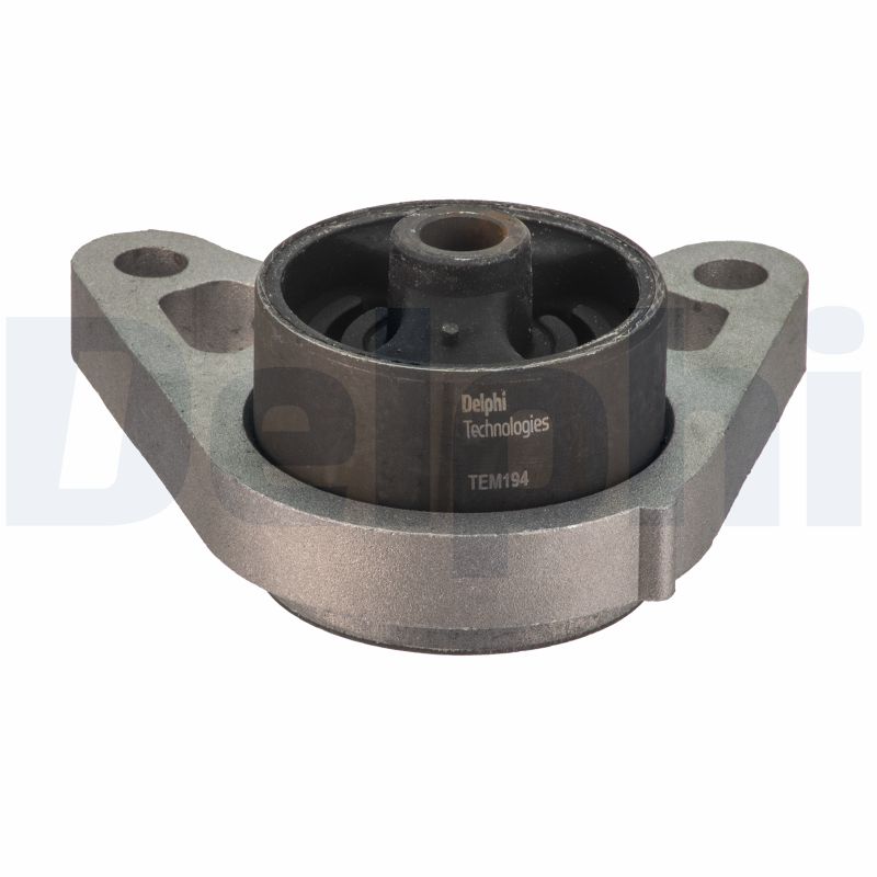 Für DELPHI TEM194 Mounting, manual transmission TEM194 Rear axle brackets front - Bild 9