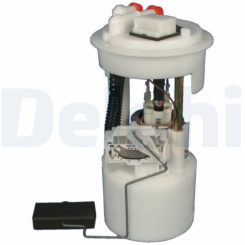 DELPHI Kraftstoffpumpe fe1002912b1 für Citroën