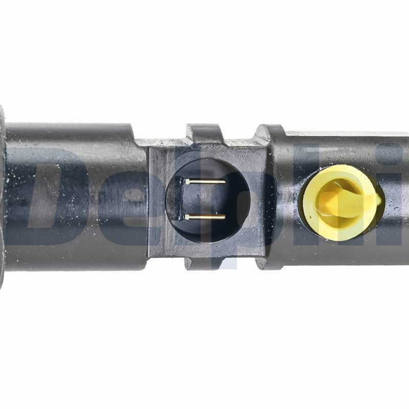 DELPHI Einspritzventil r00402z für Ford