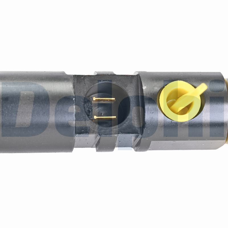 DELPHI Einspritzventil r00501z für Ford JAGUAR