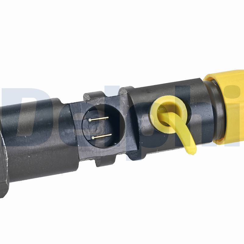 DELPHI Einspritzventil r00504z