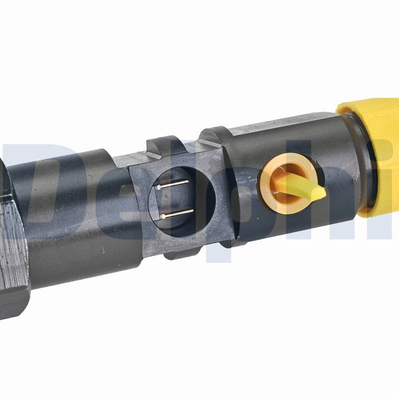 DELPHI Einspritzventil r00502z für Ford