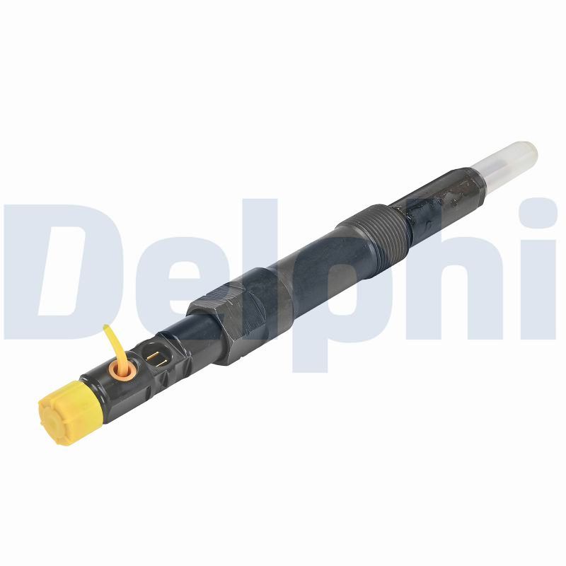 DELPHI Einspritzventil r00801d für Ford