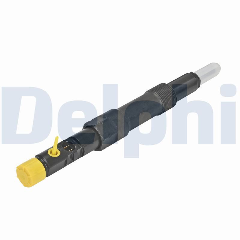DELPHI Einspritzventil r01101d für Ford