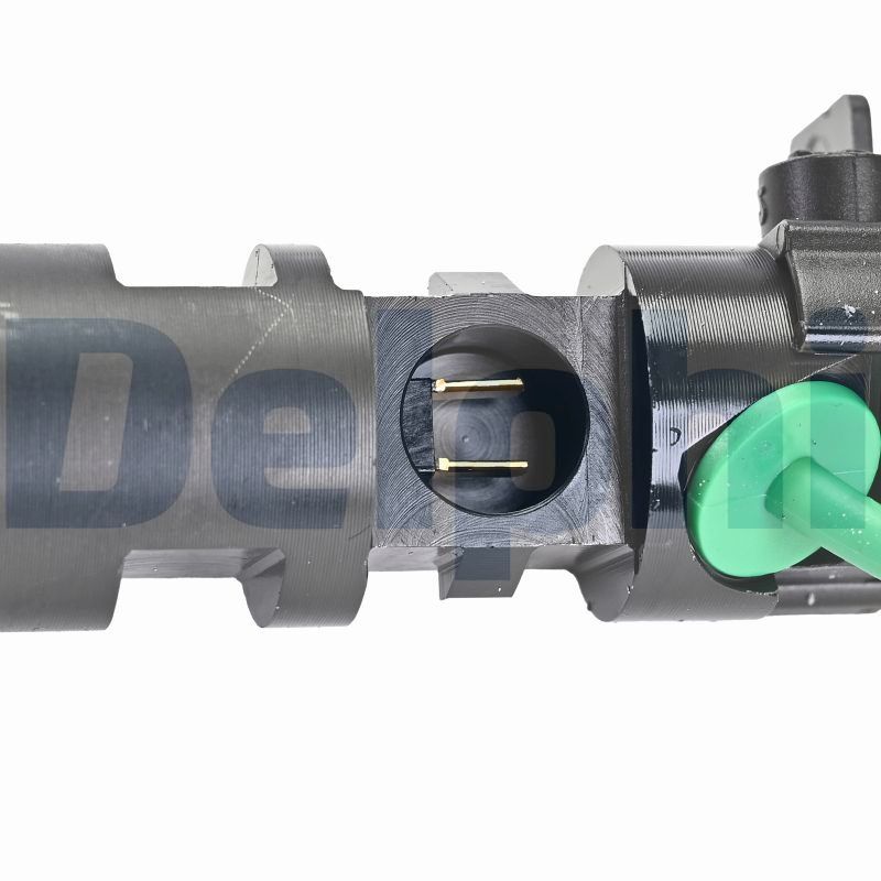 DELPHI Einspritzventil r00101dp für Ford Fiat Citroën