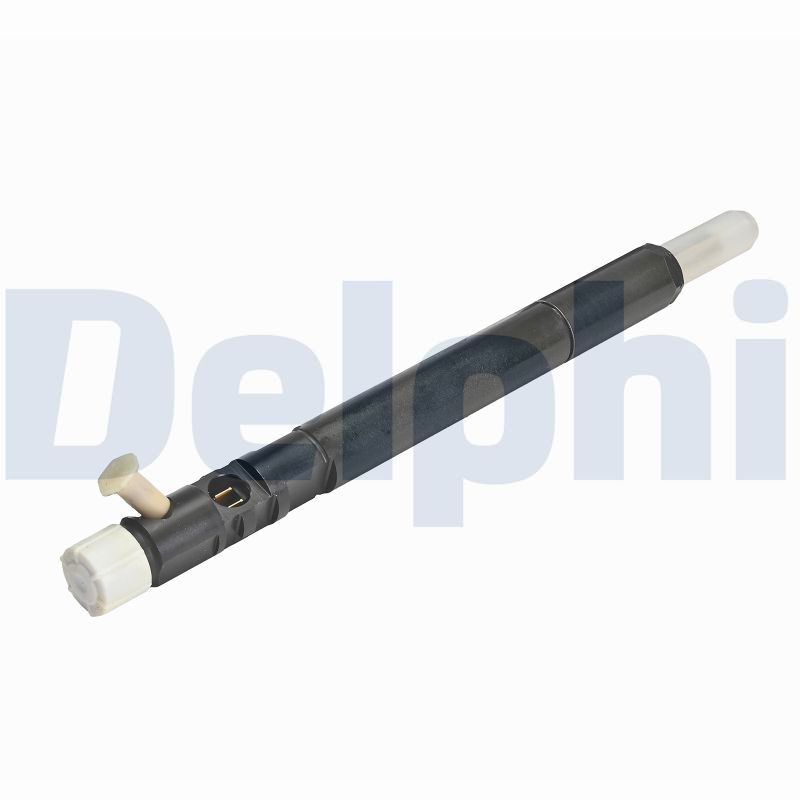 DELPHI Einspritzventil r04401d für SSANGYONG