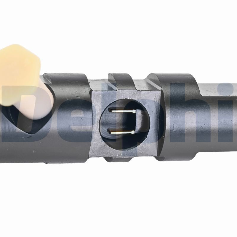 DELPHI Einspritzventil r03501d für TATA