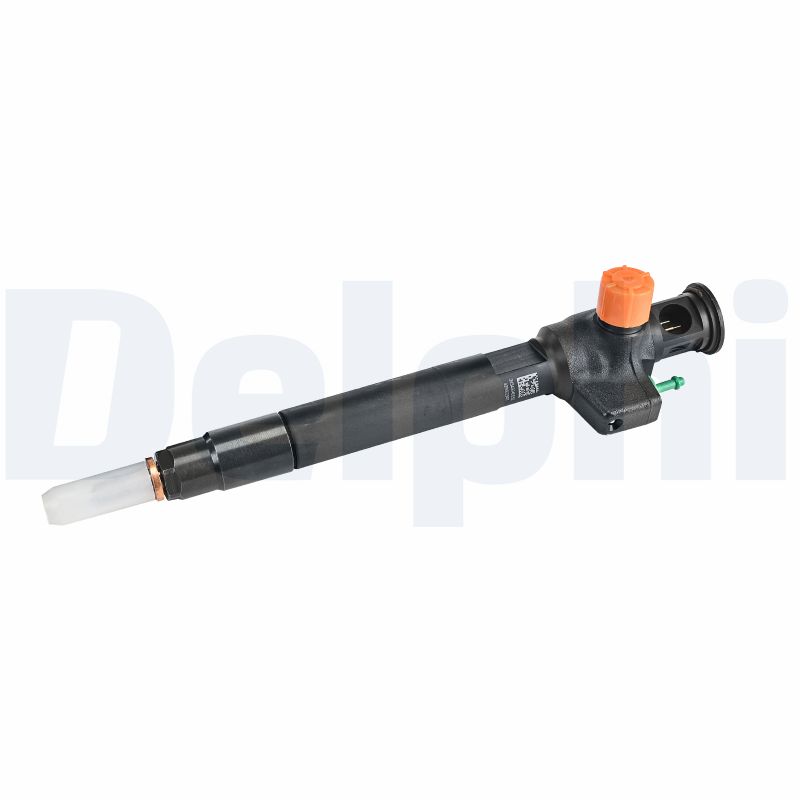 DELPHI Einspritzventil 28602948 für Ford Citroën