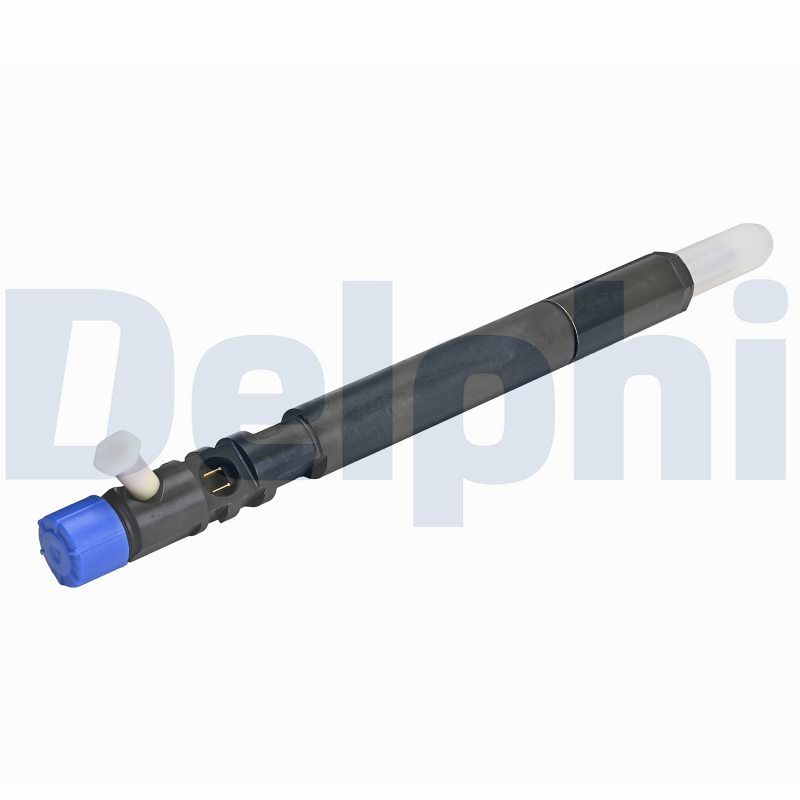 DELPHI Einspritzventil r04601d12b1 für SSANGYONG