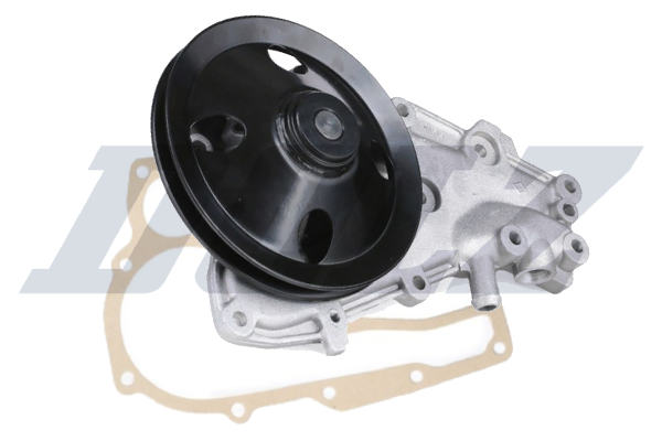 DOLZ Wasserpumpe r129 für RENAULT