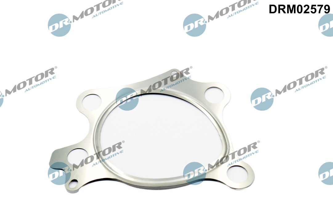 DR.MOTOR AUTOMOTIVE Dichtung, Abgasrohr drm02579 vor Katalysator für MAZDA