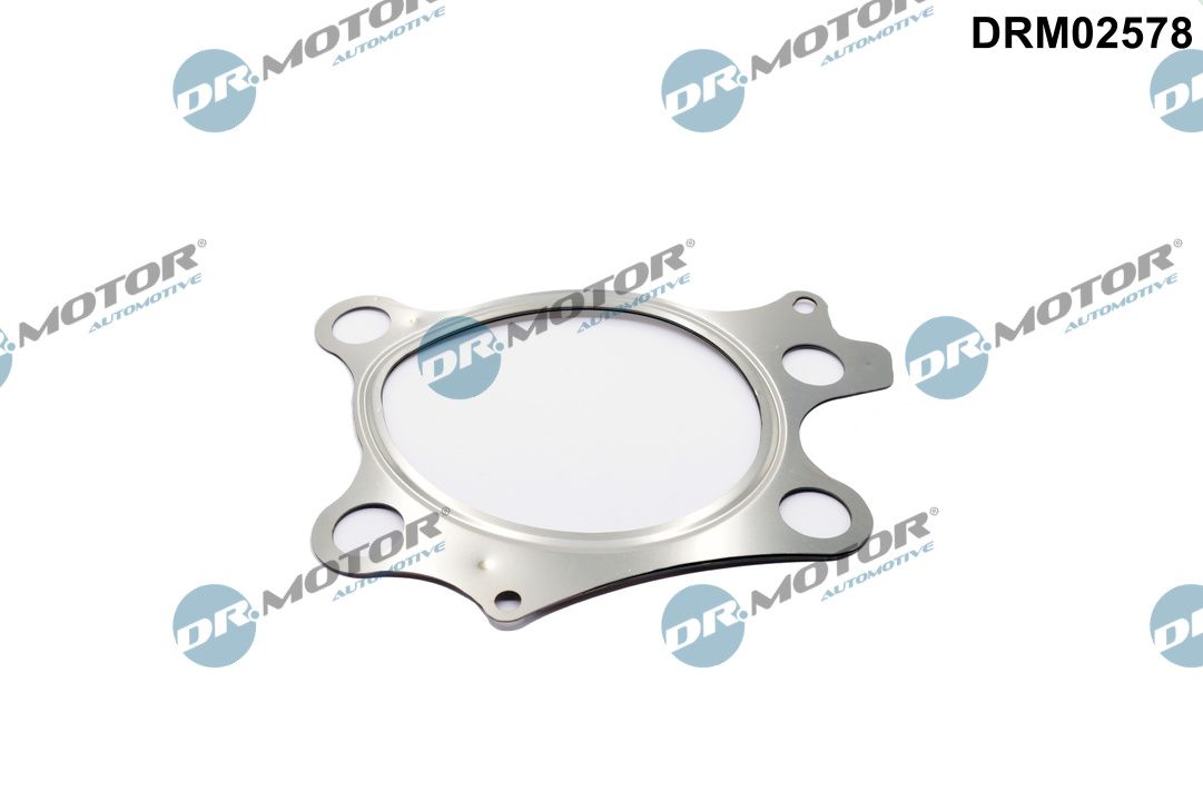 DR.MOTOR AUTOMOTIVE Dichtung, Abgasrohr drm02578 nach Katalysator für MAZDA