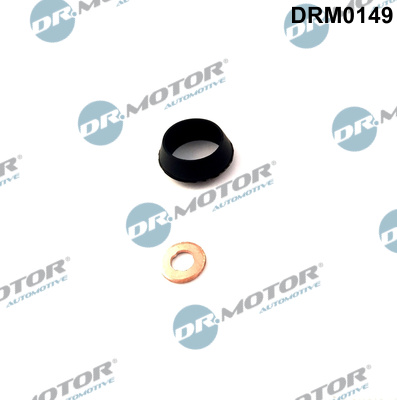 DR.MOTOR AUTOMOTIVE Dichtungssatz, Einspritzdüse drm0149 für Iveco