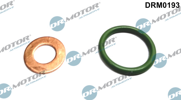 DR.MOTOR AUTOMOTIVE Dichtungssatz, Einspritzdüse drm0193 für RENAULT