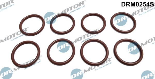 DR.MOTOR AUTOMOTIVE Dichtring, Einspritzventil drm0254s für Opel
