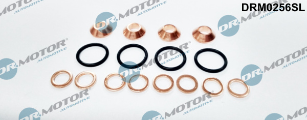 DR.MOTOR AUTOMOTIVE Dichtungssatz, Einspritzdüse drm0256sl