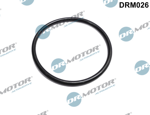 DR.MOTOR AUTOMOTIVE Dichtung, Drosselklappenstutzen drm026 Ausgang für RENAULT NISSAN