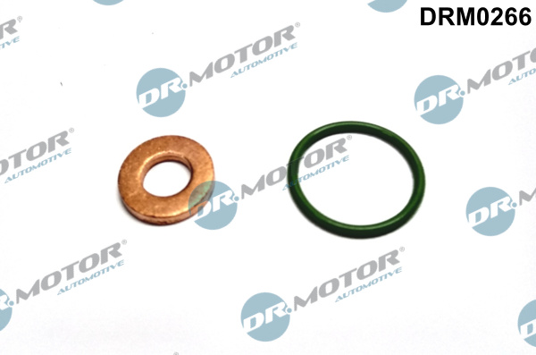 DR.MOTOR AUTOMOTIVE Dichtungssatz, Einspritzdüse drm0266 für VAG VW