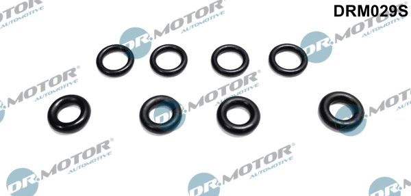DR.MOTOR AUTOMOTIVE Dichtring, Einspritzventil drm029s für Peugeot