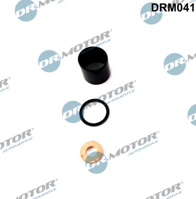 DR.MOTOR AUTOMOTIVE Dichtungssatz, Einspritzdüse drm041 für DACIA
