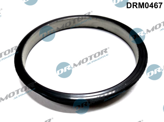 DR.MOTOR AUTOMOTIVE Dichtring, Unterdruckpumpe DRM0467 für Peugeot Ford