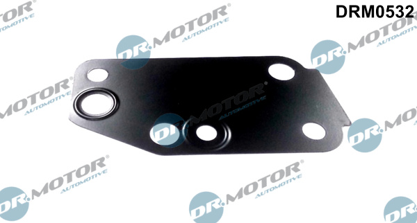 DR.MOTOR AUTOMOTIVE Dichtung, Wasserpumpe drm0532 für Ford
