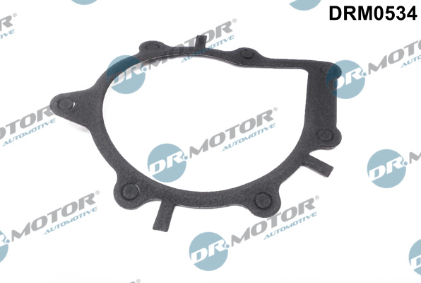 DR.MOTOR AUTOMOTIVE Dichtung, Wasserpumpe drm0534 für Ford Opel Citroën/Peugeot