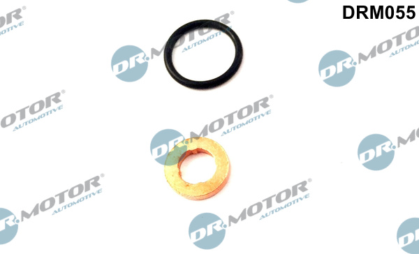 DR.MOTOR AUTOMOTIVE Dichtungssatz, Einspritzdüse drm055 für VW