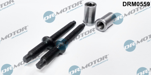 DR.MOTOR AUTOMOTIVE Schraube, Einspritzdüsenhalter drm0559 für Peugeot Ford