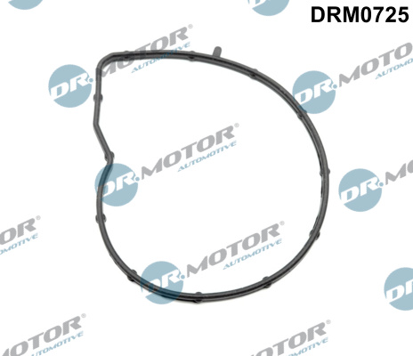 DR.MOTOR AUTOMOTIVE Dichtung, Wasserpumpe drm0725 für Opel BMW Citroën/Peugeot